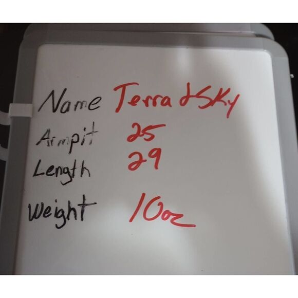 Terra and Sky Blouse Ladies 2x Flutter Sleeve - Picture 6 of 6